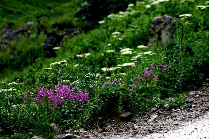 070404 Hope Hatcher Montana Creek (10148)